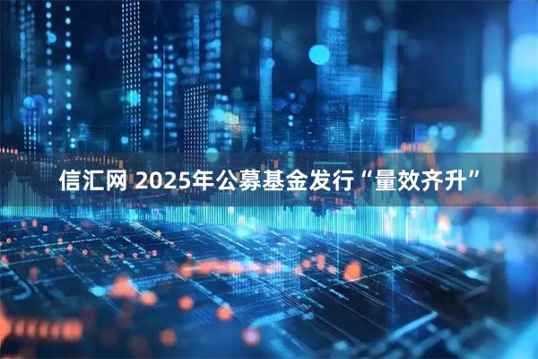 信汇网 2025年公募基金发行“量效齐升”