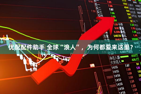 优配配件助手 全球“浪人”，为何都爱来这里？